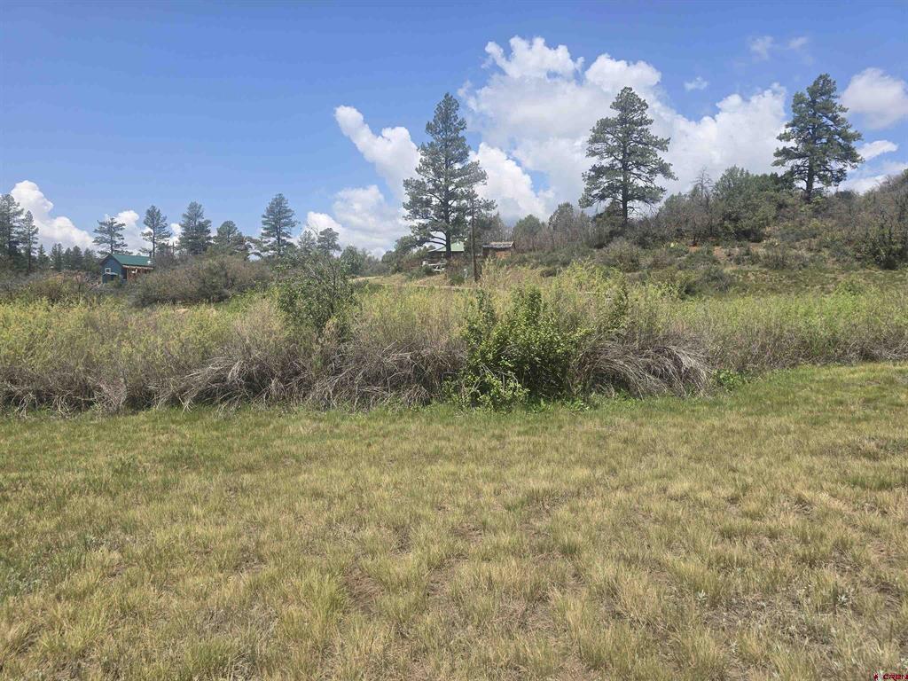 634 Cactus Drive Pagosa Springs CO 81147