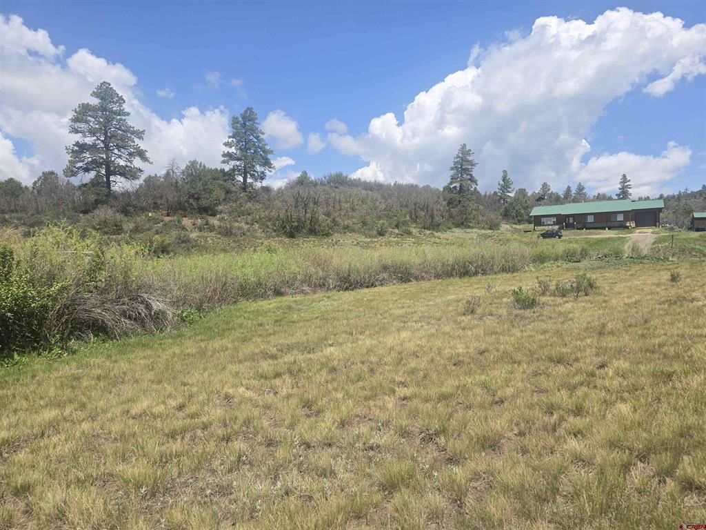 634 Cactus Drive Pagosa Springs CO 81147
