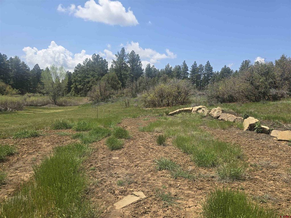 634 Cactus Drive Pagosa Springs CO 81147