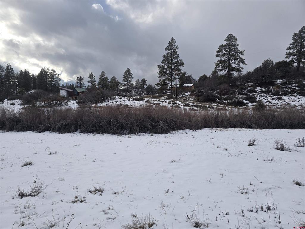 634 Cactus Drive Pagosa Springs CO 81147