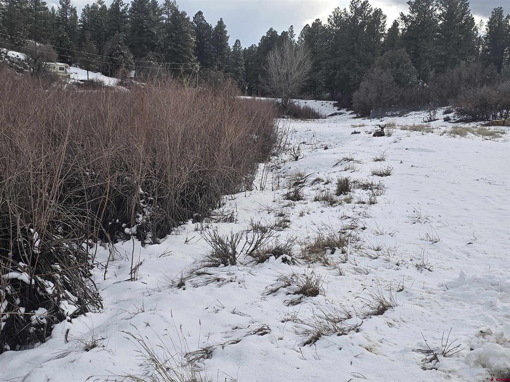 634 Cactus Drive Pagosa Springs CO 81147