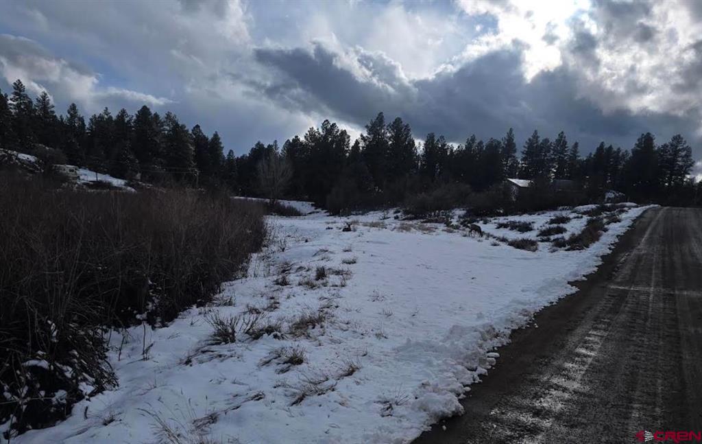 634 Cactus Drive Pagosa Springs CO 81147