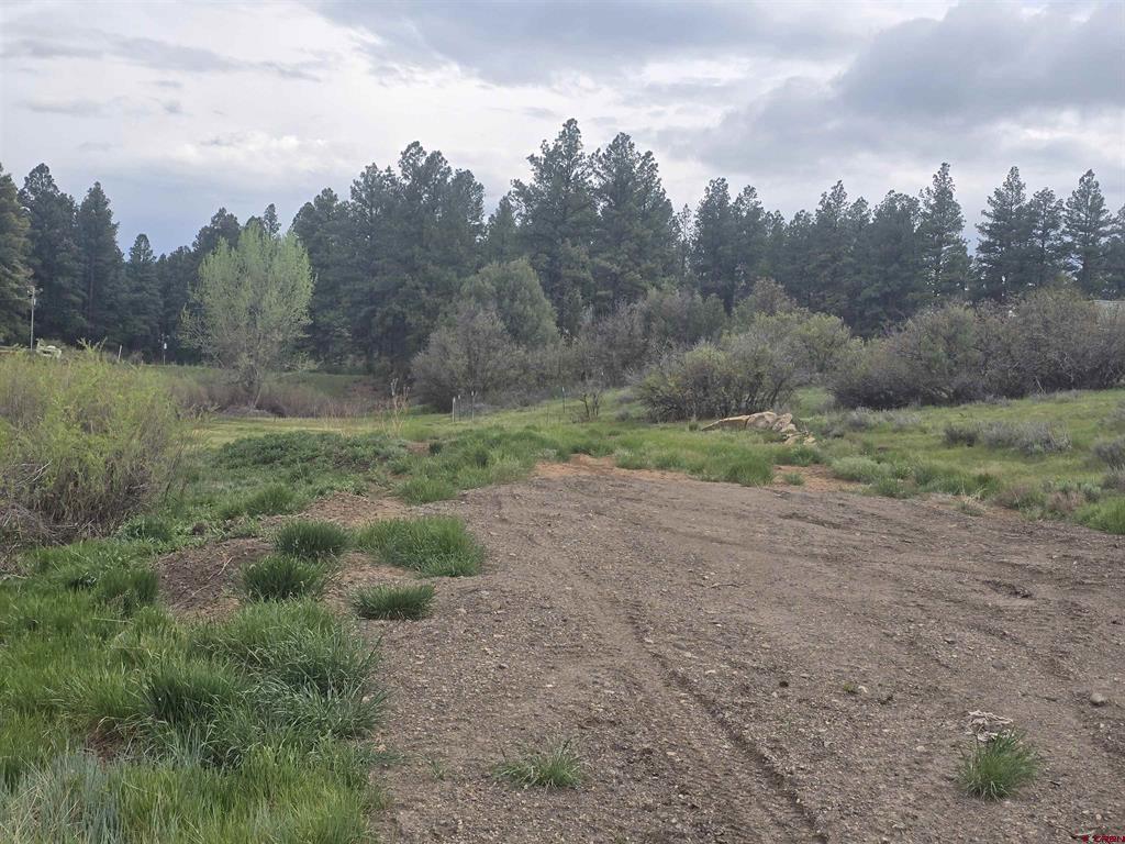 634 Cactus Drive Pagosa Springs CO 81147