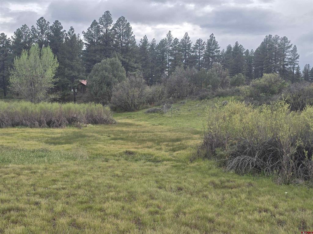 634 Cactus Drive Pagosa Springs CO 81147