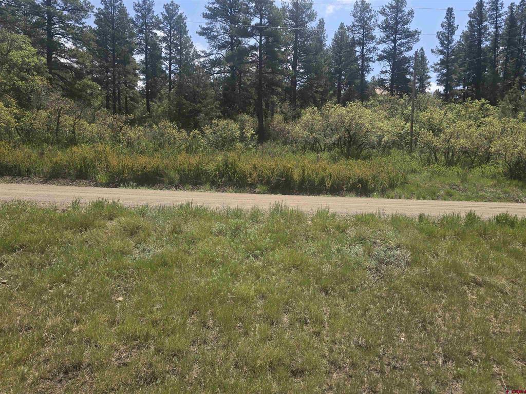 634 Cactus Drive Pagosa Springs CO 81147
