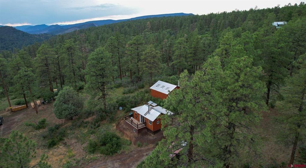 51 Rocky Ridge 3 Pagosa Springs CO 81147