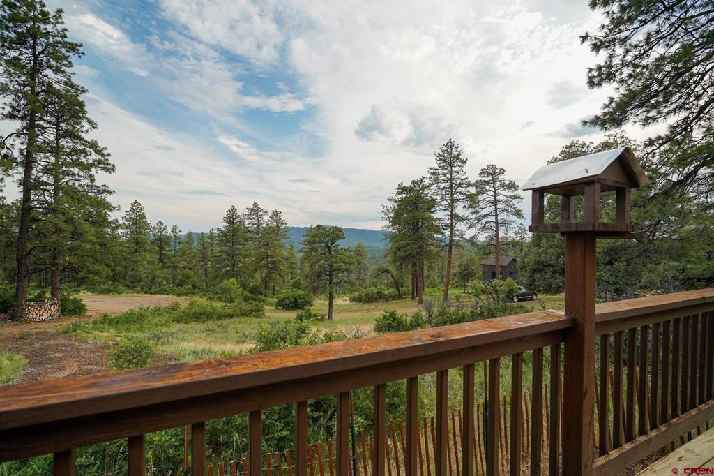 51 Rocky Ridge 3 Pagosa Springs CO 81147