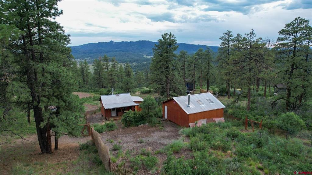 51 Rocky Ridge 3 Pagosa Springs CO 81147