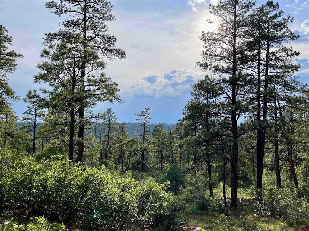 51 Rocky Ridge 3 Pagosa Springs CO 81147