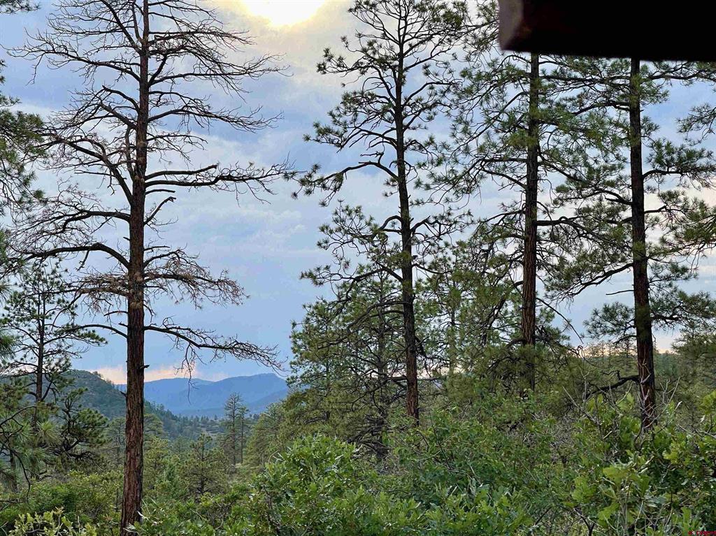 51 Rocky Ridge 3 Pagosa Springs CO 81147