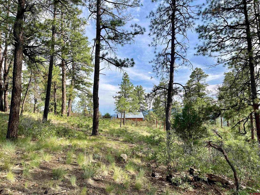 51 Rocky Ridge 3 Pagosa Springs CO 81147