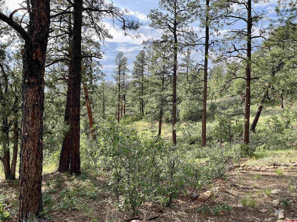 51 Rocky Ridge 3 Pagosa Springs CO 81147