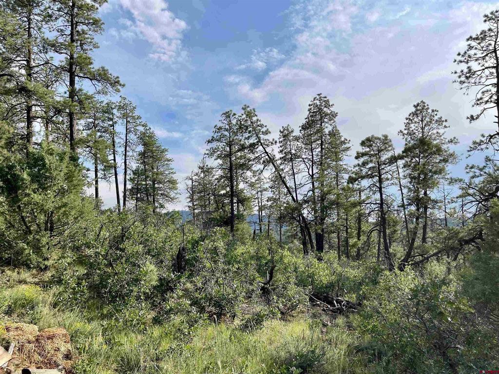 51 Rocky Ridge 3 Pagosa Springs CO 81147