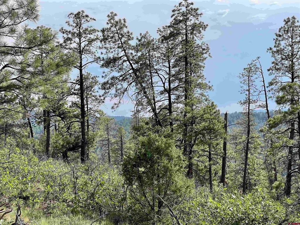 51 Rocky Ridge 3 Pagosa Springs CO 81147