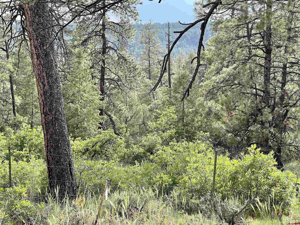 51 Rocky Ridge 3 Pagosa Springs CO 81147