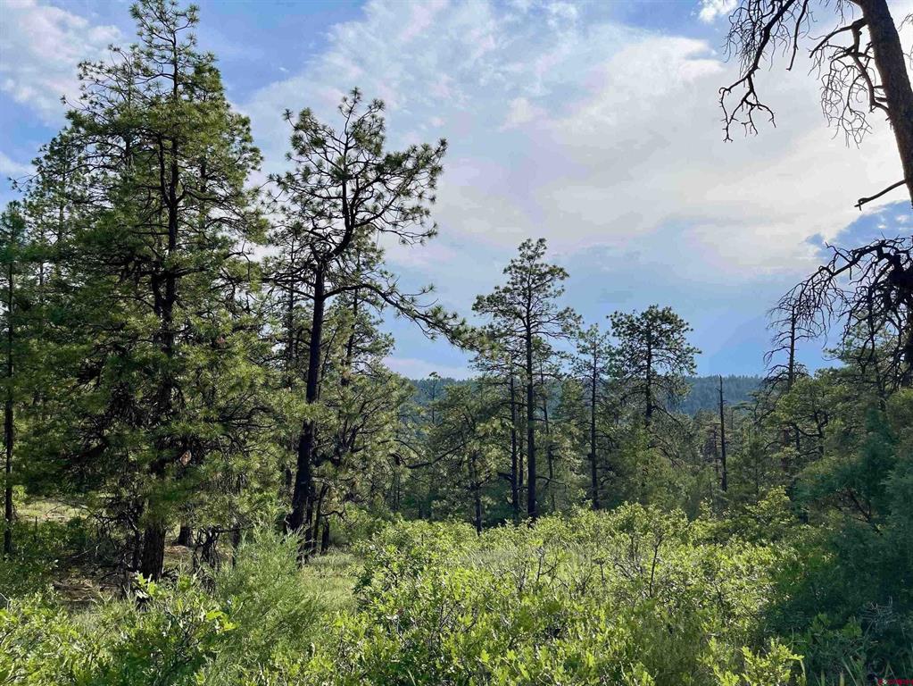 51 Rocky Ridge 3 Pagosa Springs CO 81147