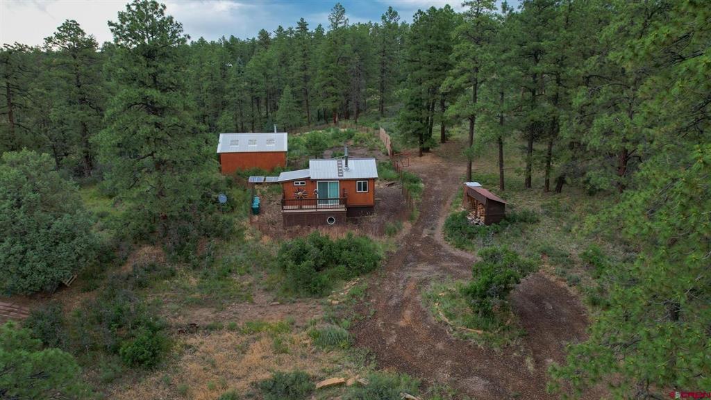 51 Rocky Ridge 3 Pagosa Springs CO 81147