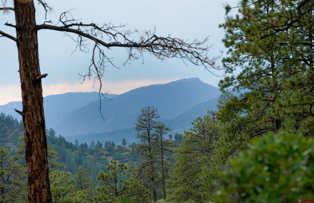 51 Rocky Ridge 3 Pagosa Springs CO 81147
