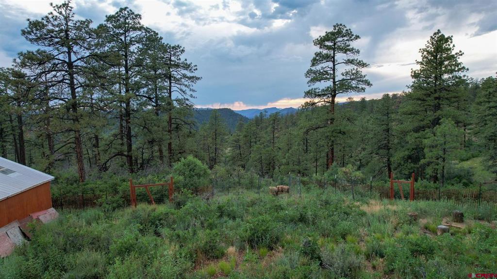 51 Rocky Ridge 3 Pagosa Springs CO 81147
