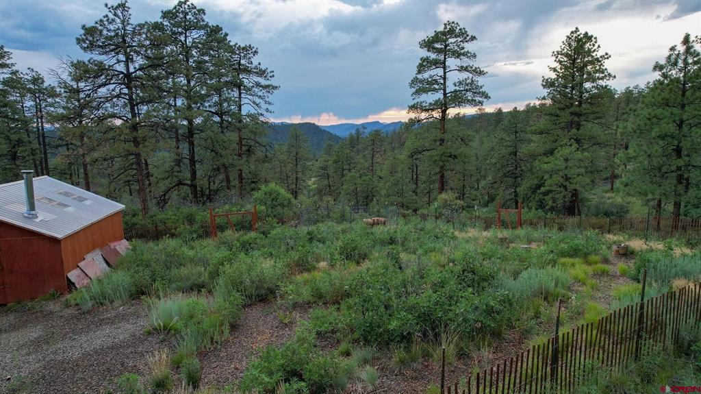 51 Rocky Ridge 3 Pagosa Springs CO 81147