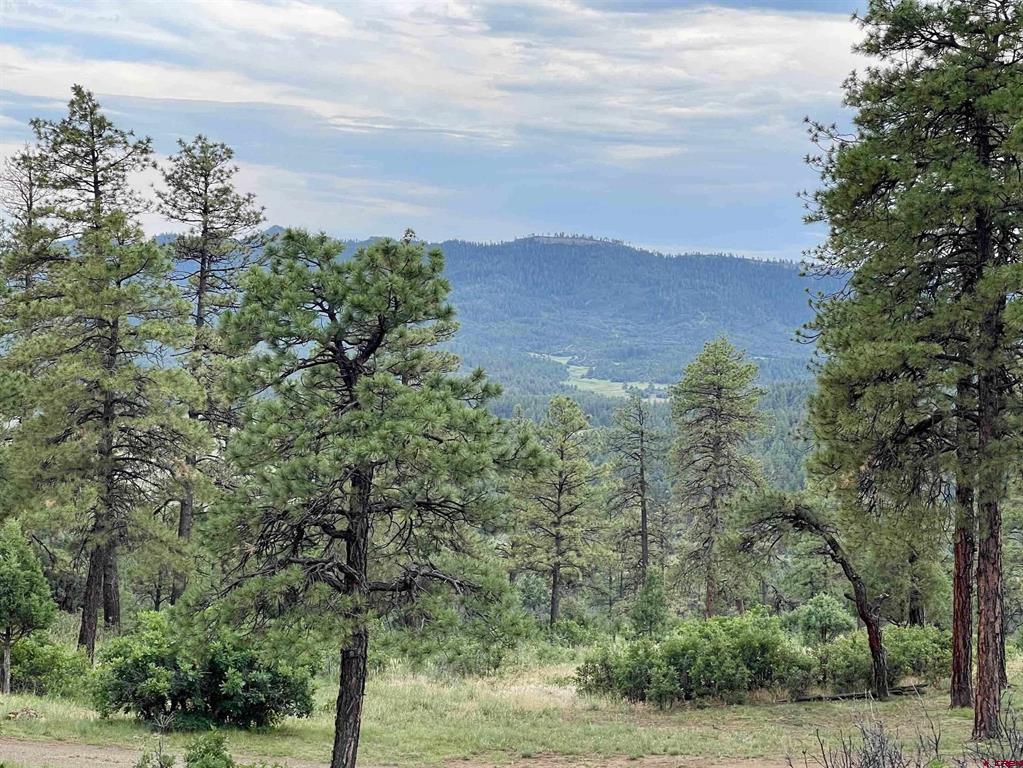 51 Rocky Ridge 3 Pagosa Springs CO 81147