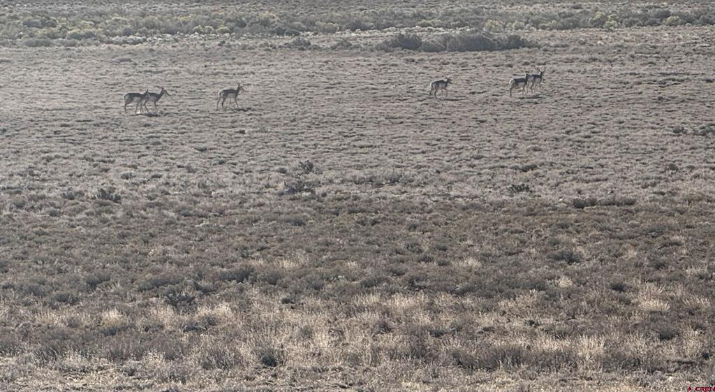 Tbd County Road E.5 Antonito CO 81120