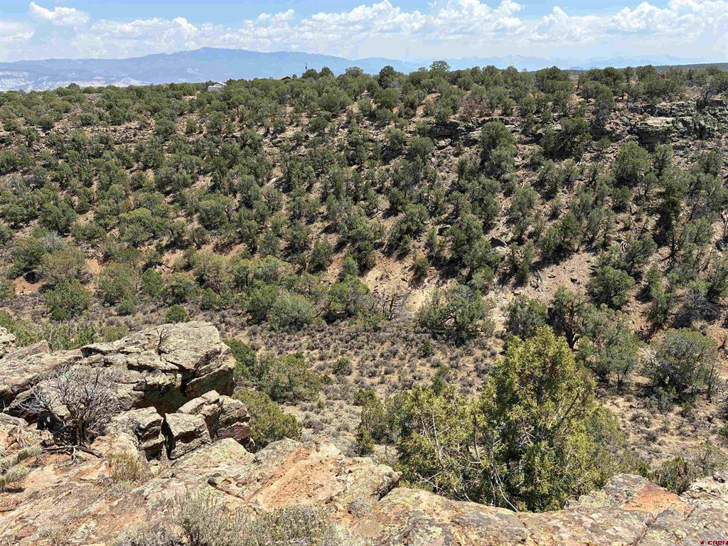 Tbd Tres Coyotes Trail Montrose CO 81403