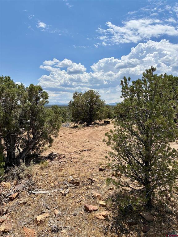 Tbd Tres Coyotes Trail Montrose CO 81403