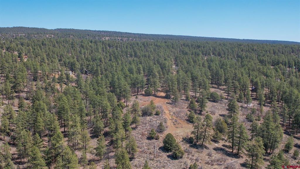 149 Engineer Point Pagosa Springs CO 81147