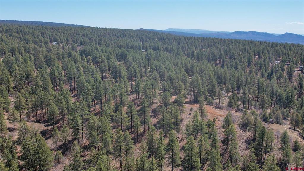 149 Engineer Point Pagosa Springs CO 81147