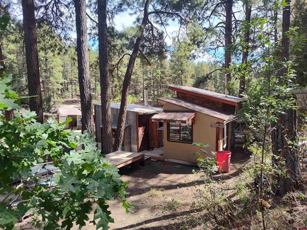Pagosa Springs CO, 668 Raccoon