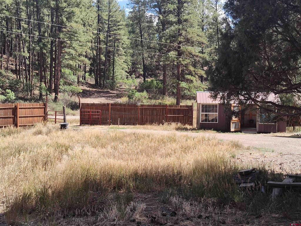 668 Raccoon Drive Pagosa Springs CO 81147