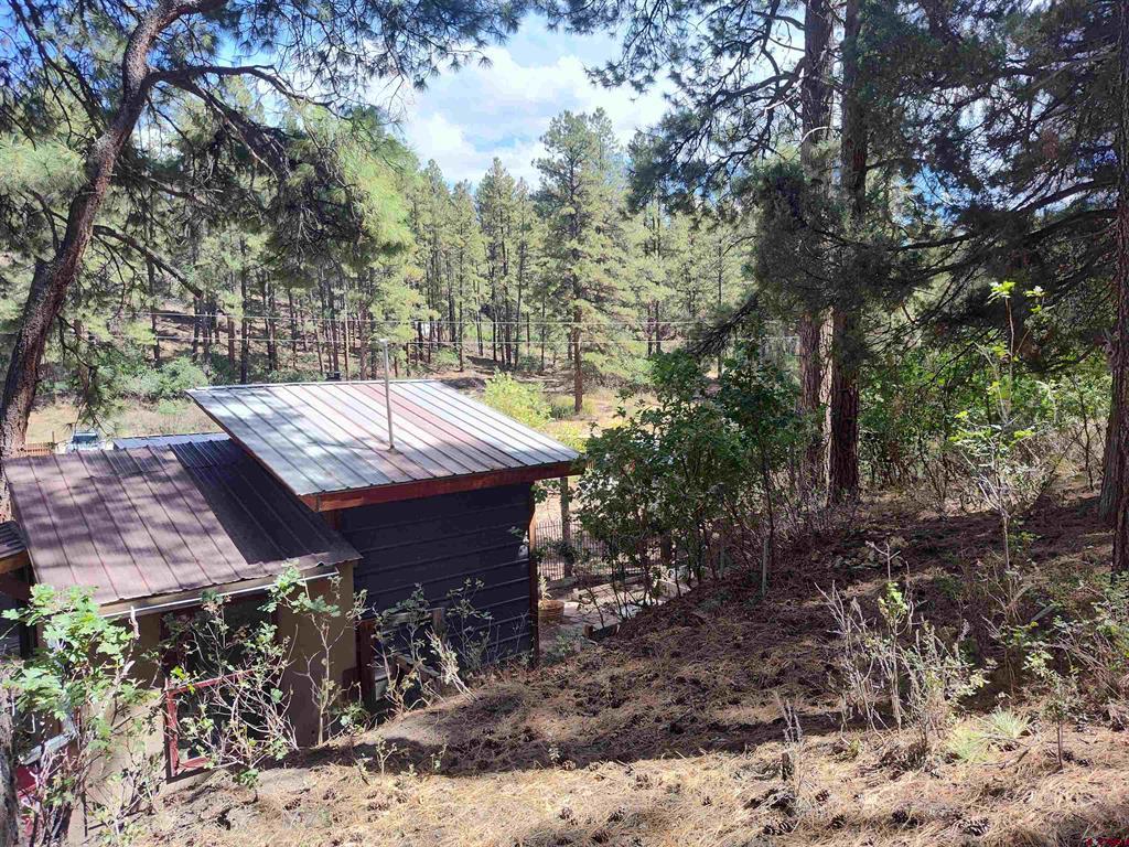668 Raccoon Drive Pagosa Springs CO 81147
