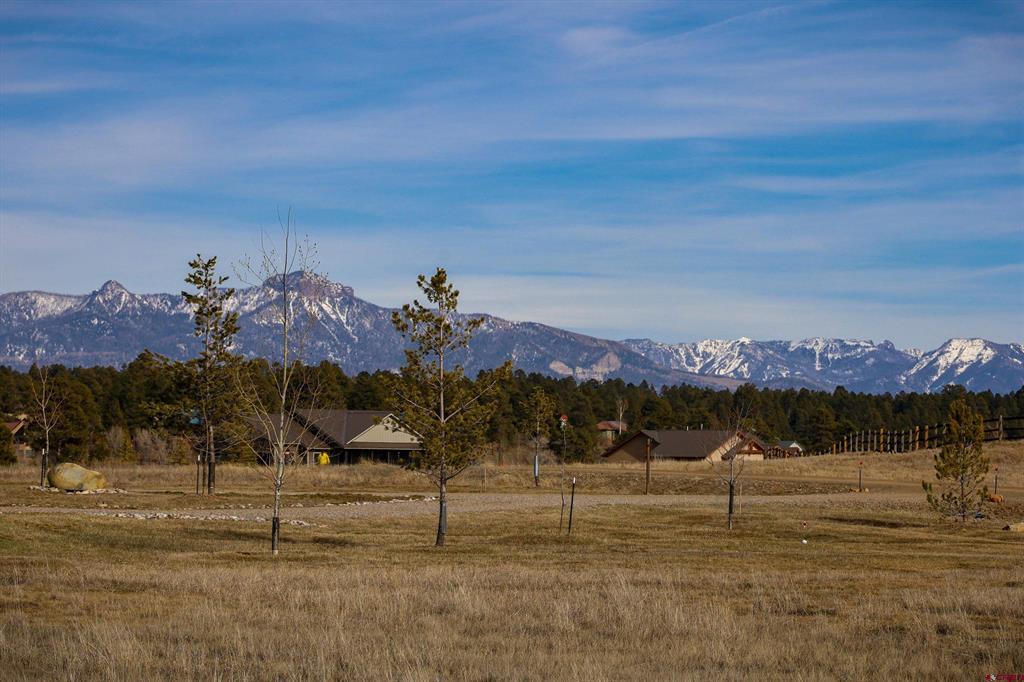 1338 Antelope Avenue Pagosa Springs CO 81147