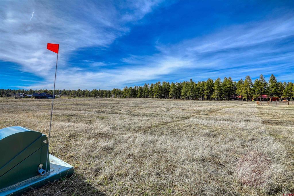 1338 Antelope Avenue Pagosa Springs CO 81147