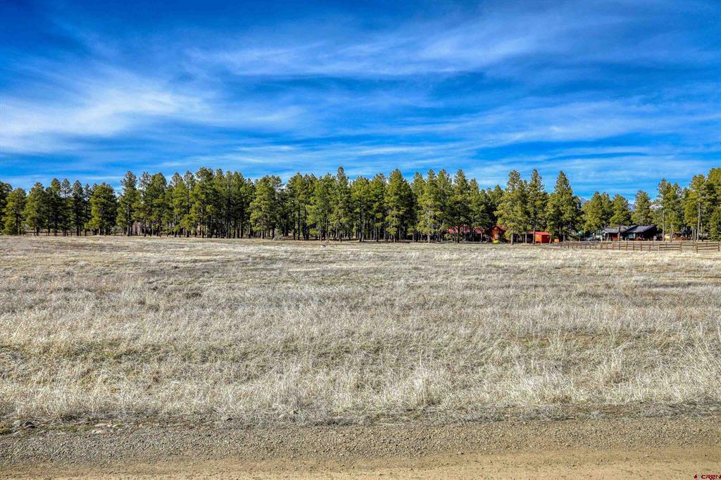1338 Antelope Avenue Pagosa Springs CO 81147