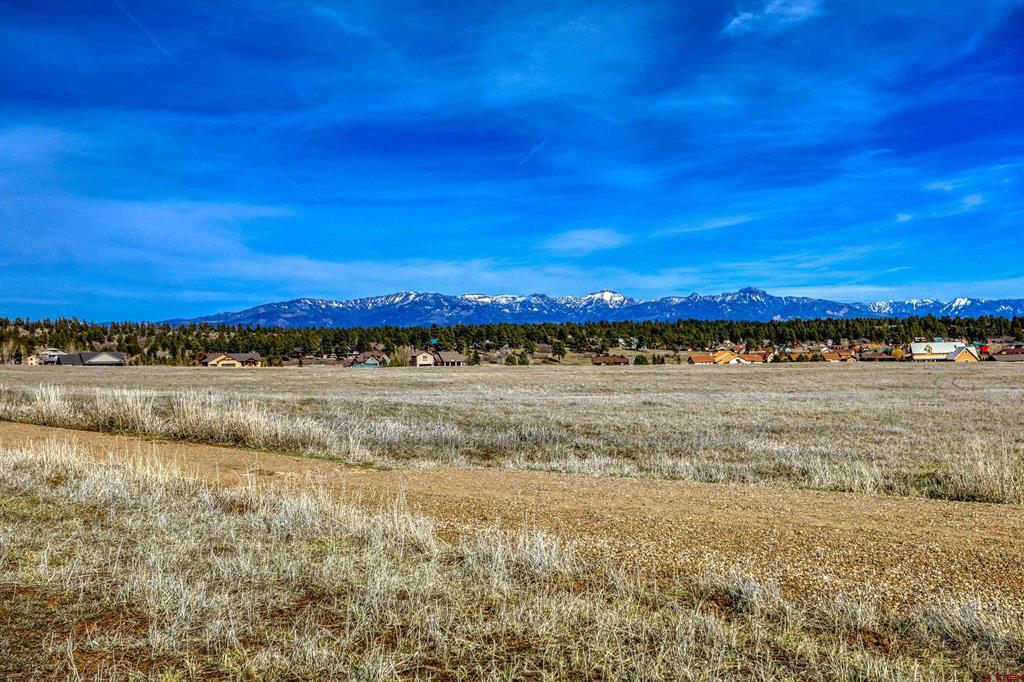 1338 Antelope Avenue Pagosa Springs CO 81147