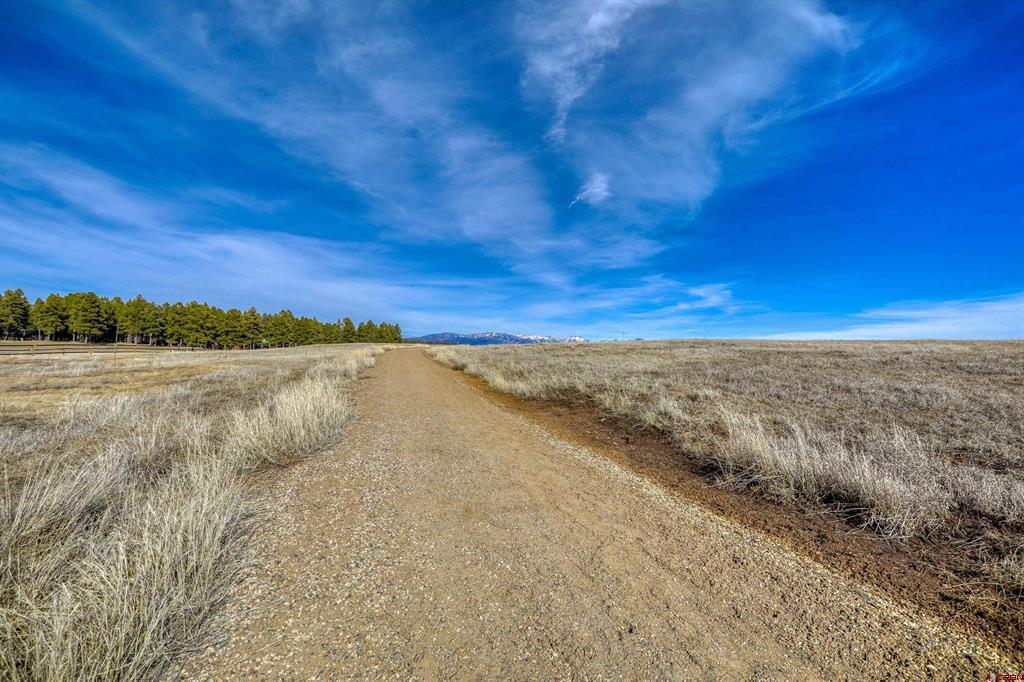 1338 Antelope Avenue Pagosa Springs CO 81147