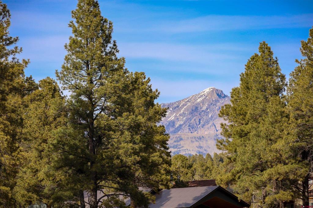 1338 Antelope Avenue Pagosa Springs CO 81147