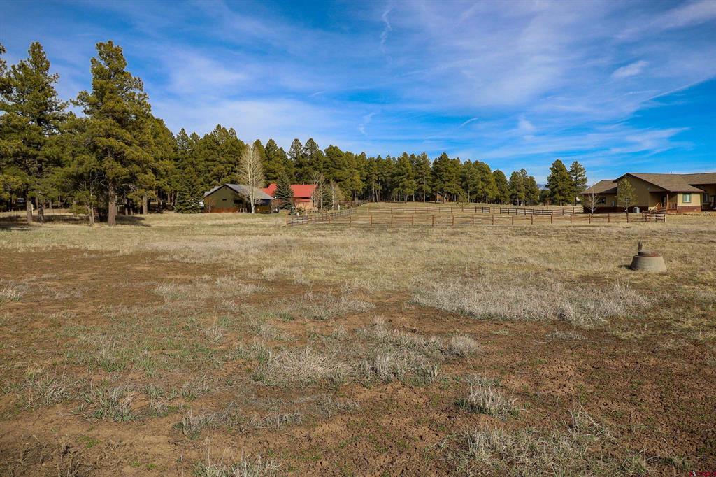 1338 Antelope Avenue Pagosa Springs CO 81147