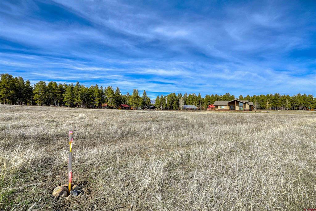 1338 Antelope Avenue Pagosa Springs CO 81147