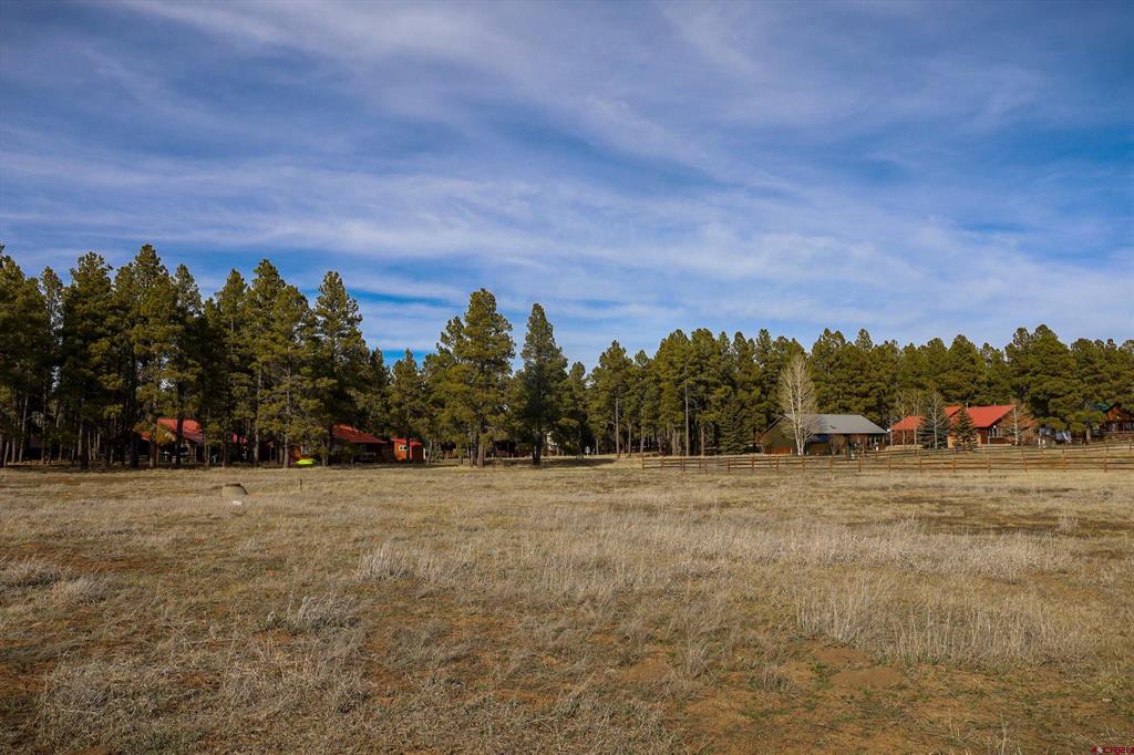 1338 Antelope Avenue Pagosa Springs CO 81147