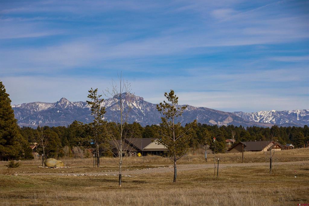 1338 Antelope Avenue Pagosa Springs CO 81147