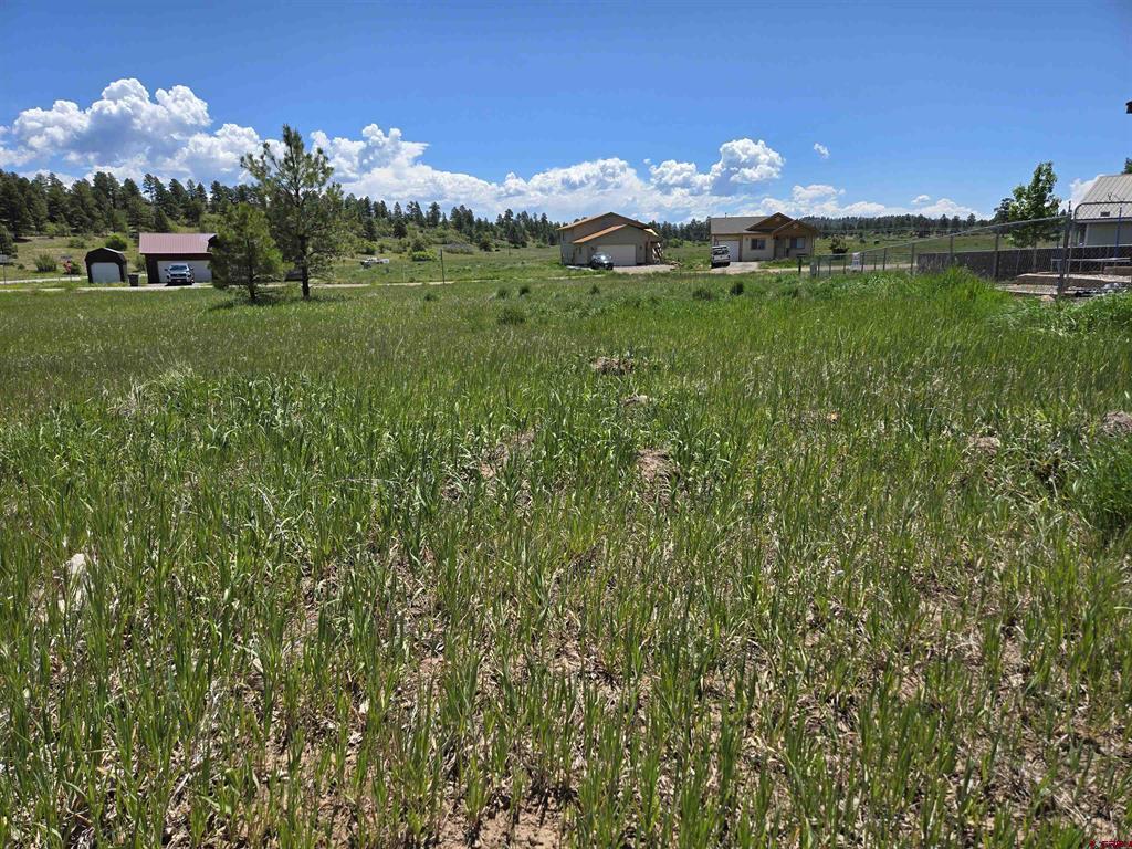 20 Lancer Court Pagosa Springs CO 81147