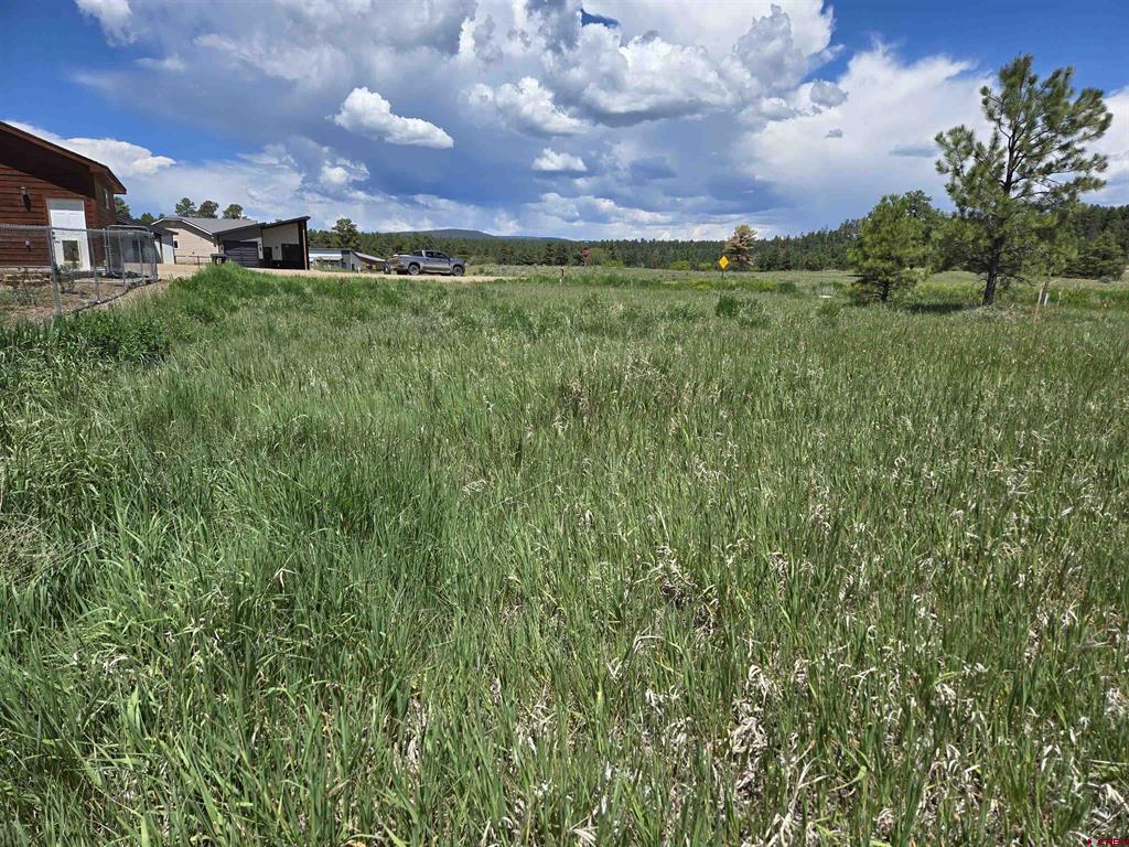 20 Lancer Court Pagosa Springs CO 81147