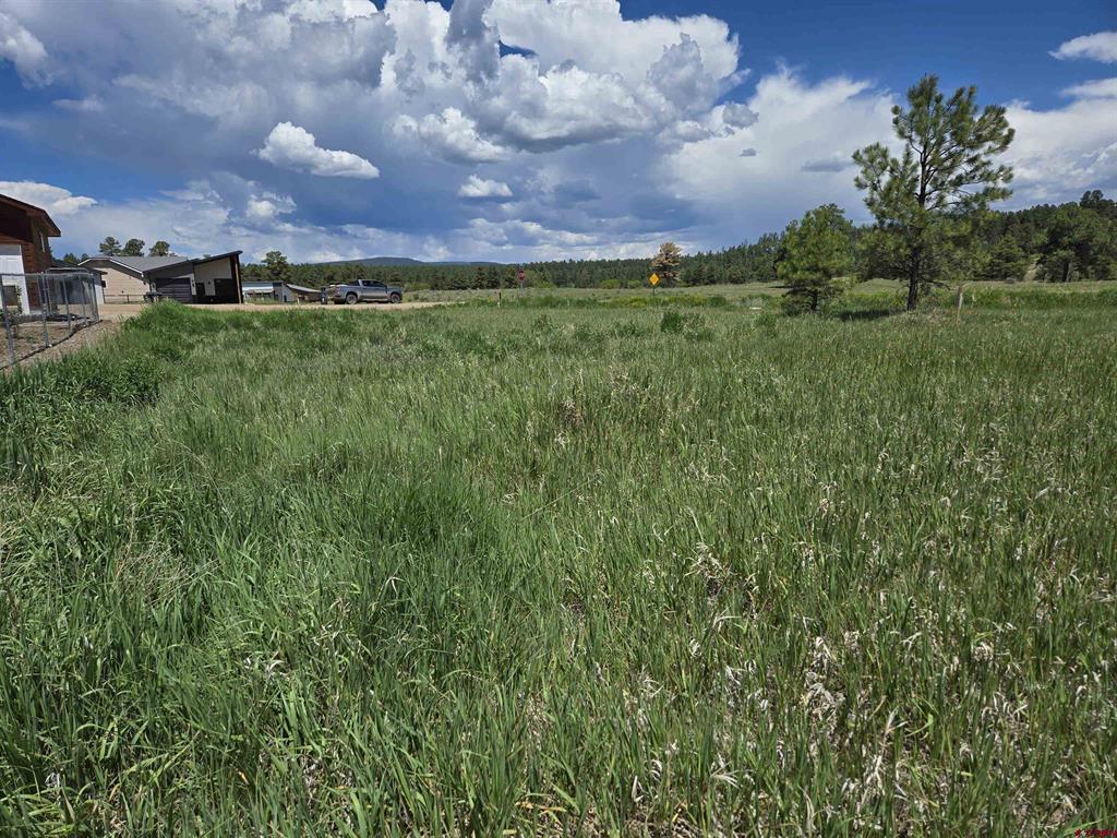 20 Lancer Court Pagosa Springs CO 81147