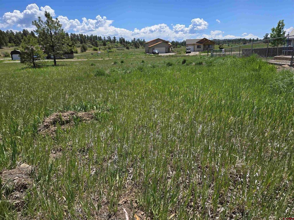 20 Lancer Court Pagosa Springs CO 81147