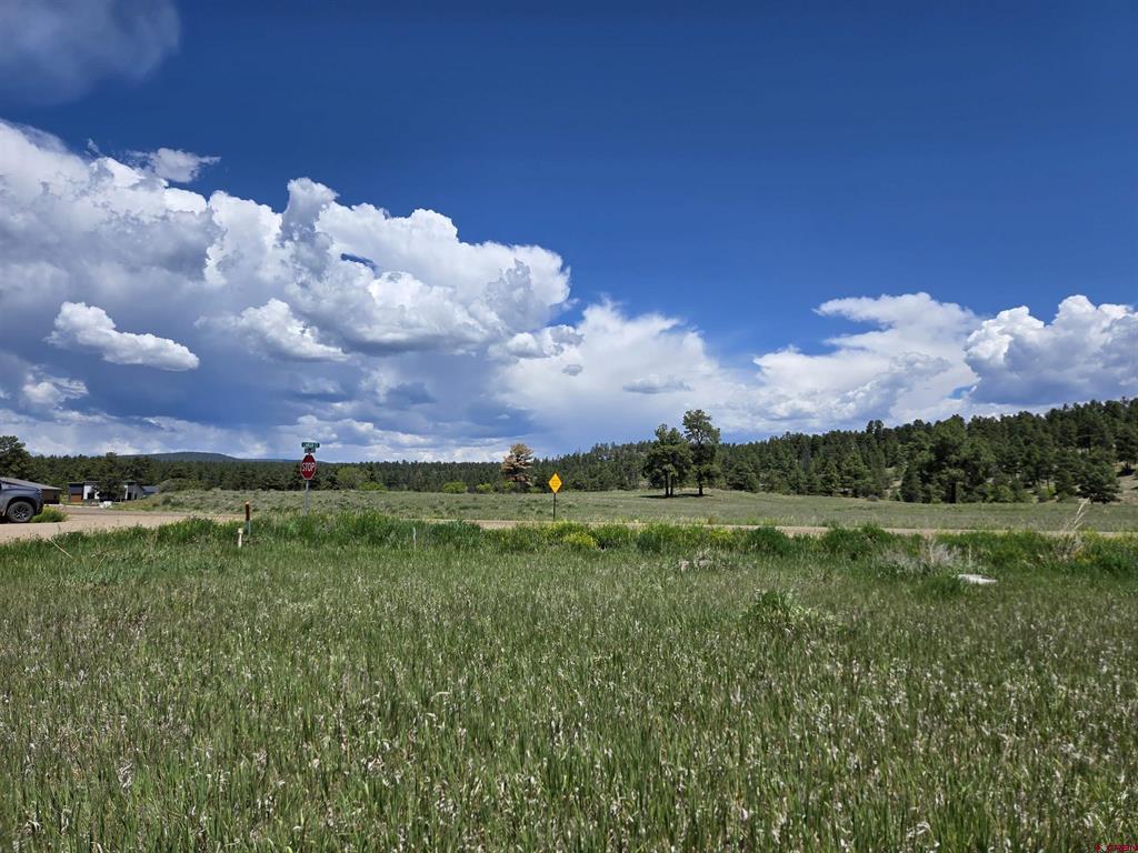 20 Lancer Court Pagosa Springs CO 81147