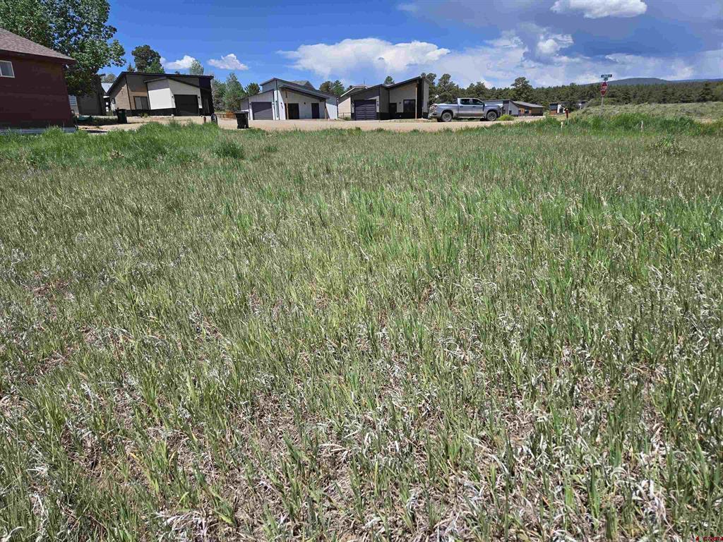 20 Lancer Court Pagosa Springs CO 81147