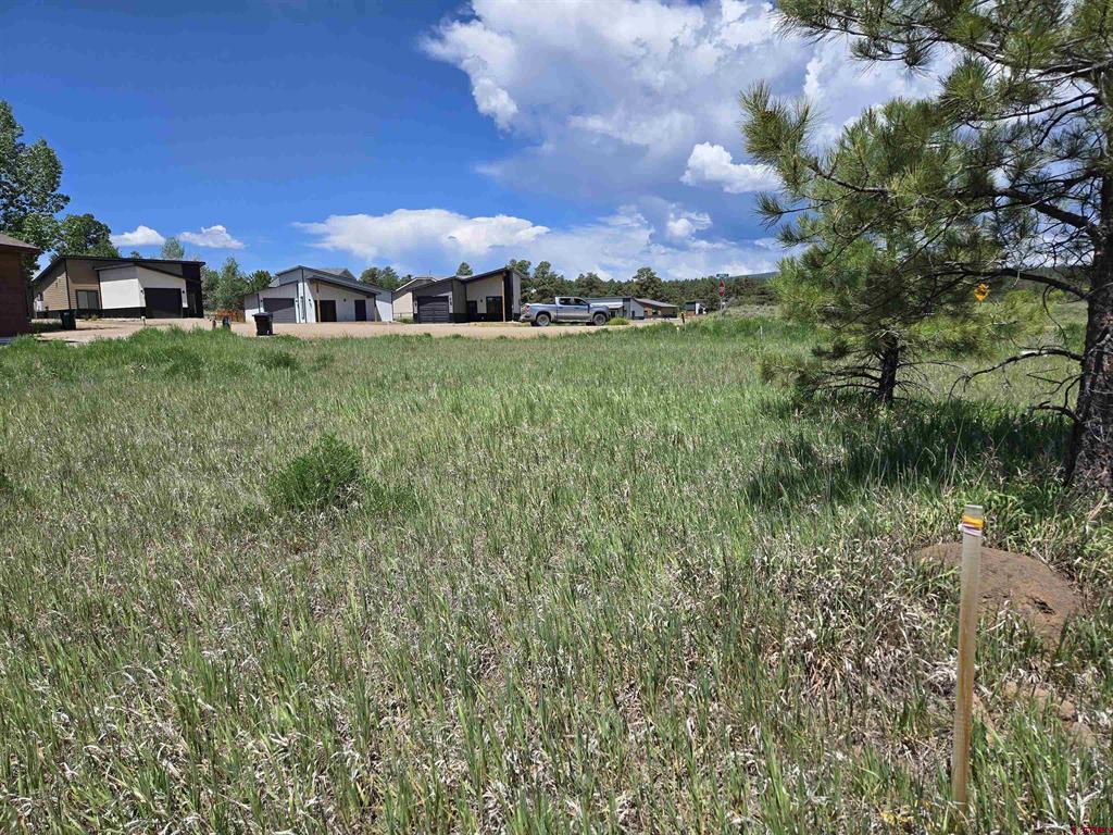 20 Lancer Court Pagosa Springs CO 81147